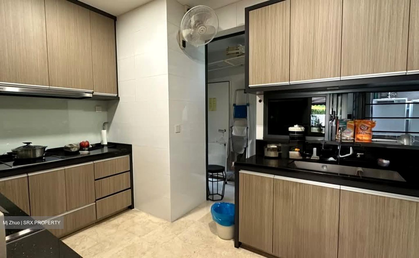The Trizon (D10), Condominium #568224451